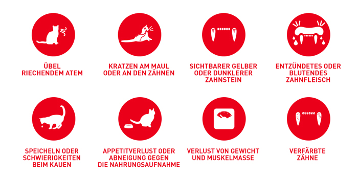 RoyalCanin_FCN_Dental_Care_Dry_proleme.jpg