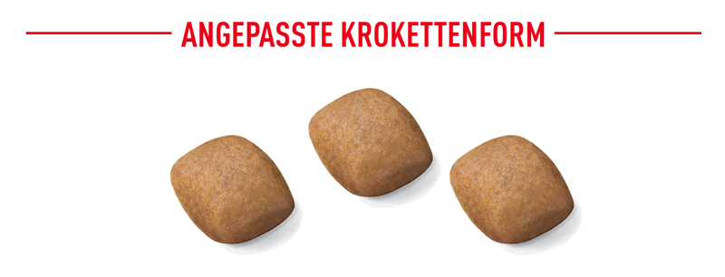 royal_canin_pomeranian_angepasste_kroketten_web.jpg