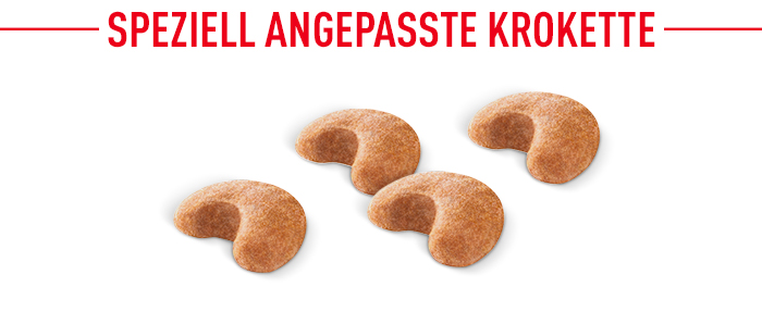 royal_canin_french_bulldog_adult_speziell_angepasste_krokette.jpg