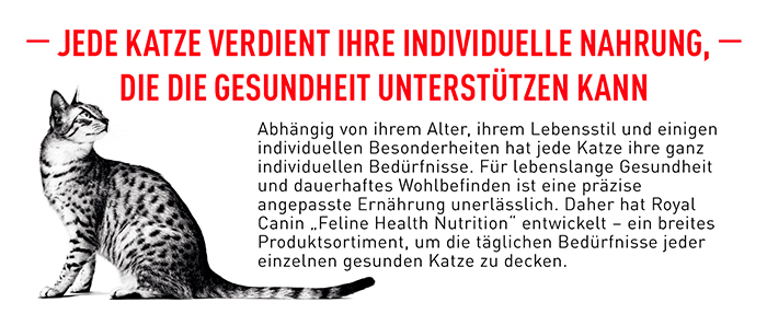 royal_canin_indoor_7-_individuelle_nahrung_web.jpg