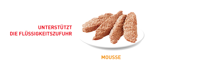RoyalCanin_FCN_Hair-Skin_Care_Loaf_mousse.jpg