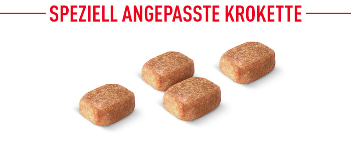 royal_canin_chihuahua_adult_speziell_angepasste_krokette.jpg