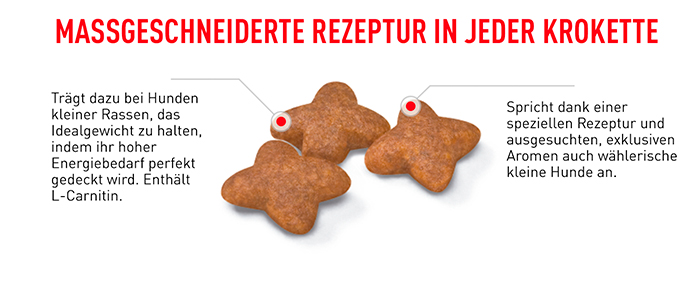 royal_canin_shn_mini_adult_massgeschneidert_web.jpg