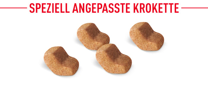 royal_canin_shih_tzu_adult_angepasste_krokette.jpg