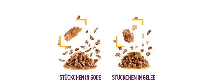 royal_canin_fhn_sensory_wet_nass_taste_gravy_sauce_verschiedene_texturen_web.jpg