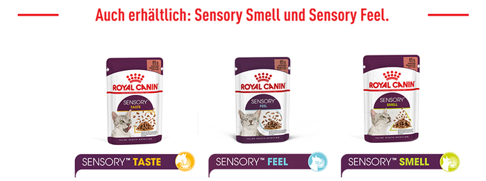 royal_canin_fhn_sensory_wet_nass_taste_jelly_gelee_auch_erhaeltlich_web.jpg