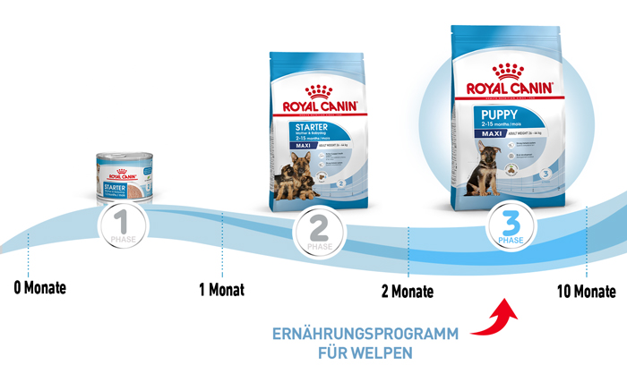 royal_canin_shn_hund_maxi_puppy_ernaehrungsprogramm_web.jpg