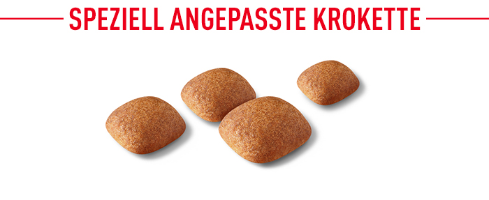 royal_canin_golden_retriever_adult_speziell_angepasste_krokette.jpg