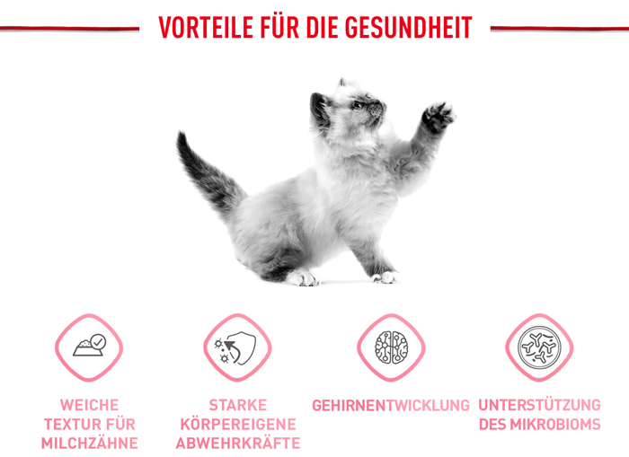 royal_canin_start_of_life_kitten_stueckchen_chunks_in_gravy_vorteile_gesundheit_web.jpg