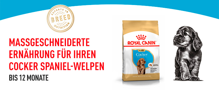 royal-canin-cocker-puppy-module-1.jpg