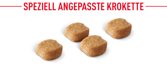 royal_canin_yorkshire_terrier_adult_speziell_angepasste_krokette.jpg