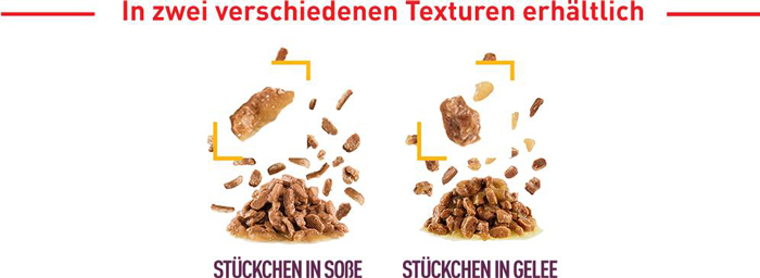 royal_canin_fhn_sensory_wet_nass_taste_jelly_gelee_verschiedene_texturen_web.jpg