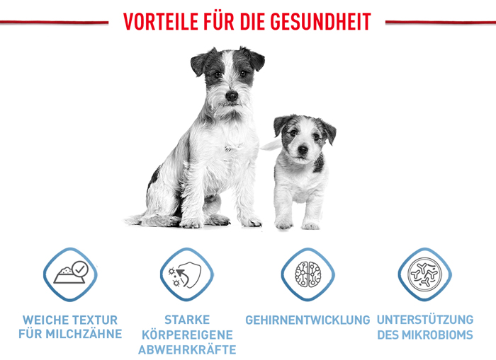 royal_canin_shn_hund_mini_puppy_stueckchen_sauce_vorteile_web.jpg