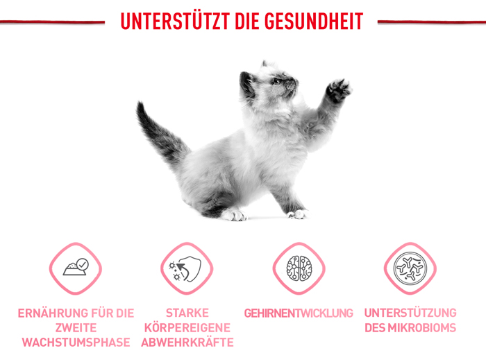 royal_canin_start_of_life_kitten_trockenfutter_unterstuetzt_die_gesundheut_web.jpg