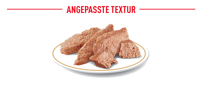 royal_canin_pomeranian_angepasste_textur_web.jpg