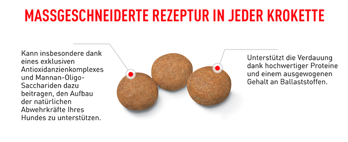 royal_canin_shn_medium_adult_massgeschneidert_web.jpg