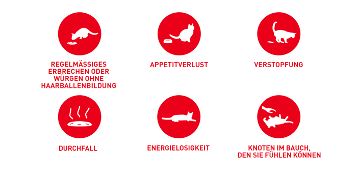 RoyalCanin_FCN_Hairball_Care_Dry_probleme.jpg