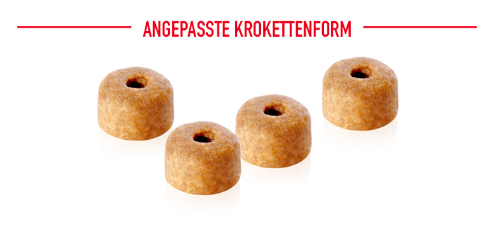 royal-canin_bhn_labrador_puppy_angepasste_kroketten_web.jpg