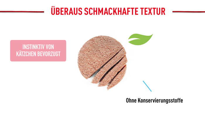 royal_canin_start_of_life_kitten_loaf_schmackhafte_textur_web.jpg