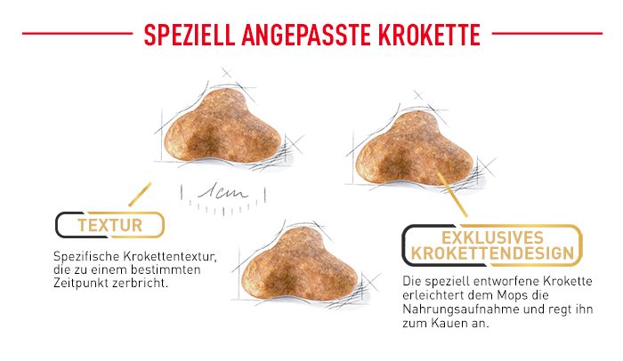 RoyalCanin_BHN_Pug_angepasste_krokette.png
