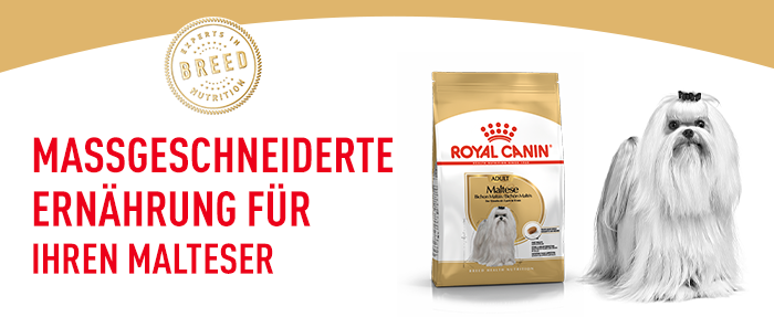 RoyalCanin_BHN_Malteser_massgeschneidert.png