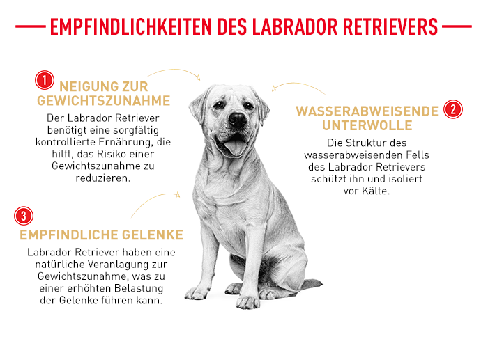 RoyalCanin_BHN_Labrador_Adult_Wet_empfindlichkeiten.png
