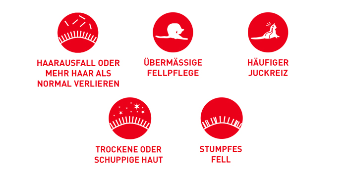 RoyalCanin_FCN_Hair-Skin_Care_Dry_probleme.jpg