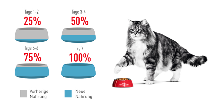 RoyalCanin_FCN_Urinary_Care_Gravy_umstellung.jpg