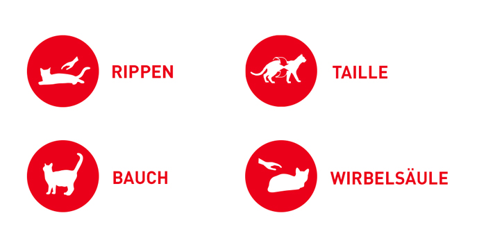 RoyalCanin_FCN_Light_Weight_Care_Jelly_probleme.jpg