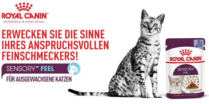 royal_canin_fhn_sensory_wet_feel_nass_jelly_gelee_erwecke_die_sinne_web.jpg