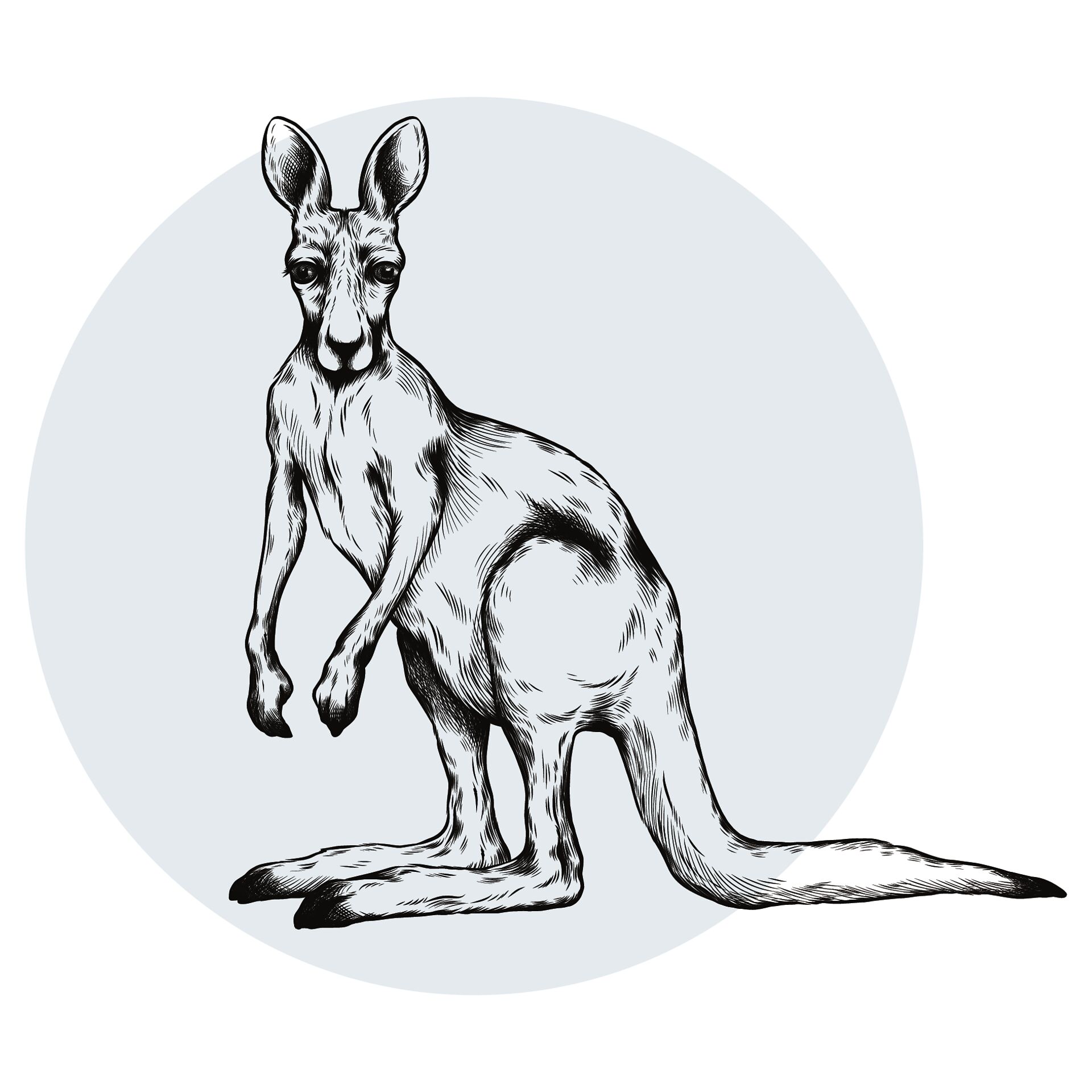 Help_Kanguru_Hypoallergenic.jpg