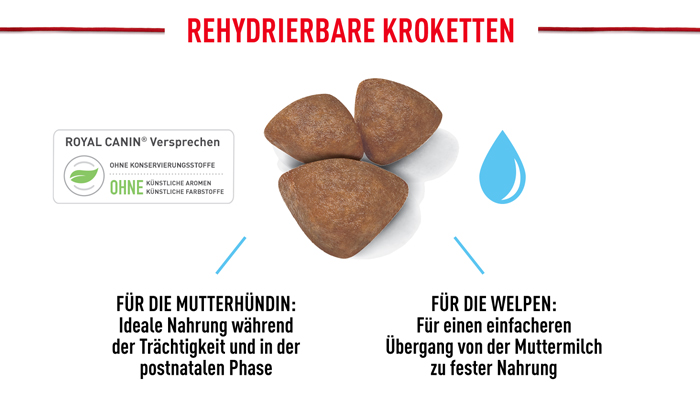 royal_canin_shn_hund_mini_starter_rehydrierbare_kroketten_web.jpg