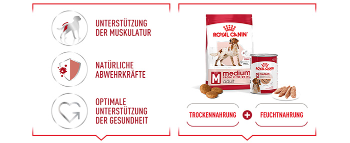 shn-medium-wet-loaf-de-module-3.jpg