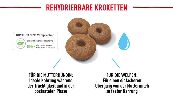 royal_canin_shn_hund_maxi_starter_rehydrierbare_kroketten_web.jpg