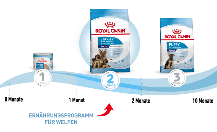royal_canin_shn_hund_maxi_starter_ernaehrungsprogramm_web.jpg