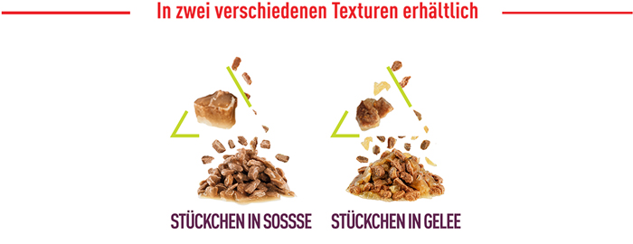 royal_canin_fhn_sensory_wet_nass_smell_gravy_sauce_verschiedene_texturen_web.jpg