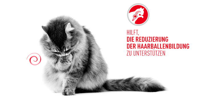 RoyalCanin_FCN_Hairball_Care_Gravy_haarballbildung.jpg