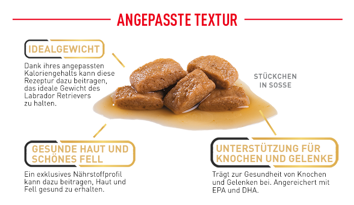 RoyalCanin_BHN_Labrador_Adult_Wet_angepasste_textur.png
