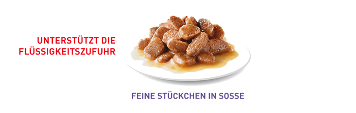 RoyalCanin_FCN_Appetite_Control_Care_Gravy_feine_stueckchen.jpg