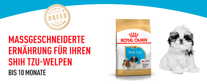 royal-canin-shih-tzu-puppy-module-1.jpg