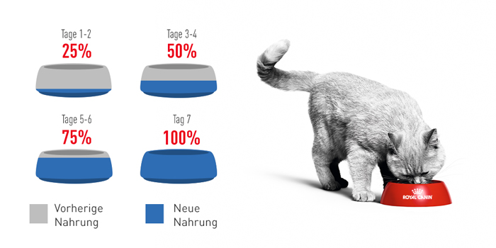 RoyalCanin_FCN_Light_Weight_Care_Gravy_umstellung.jpg