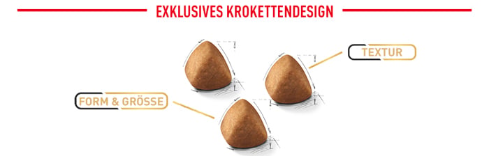 royal_canin_cat_adult_ragdoll_exklusives_krokettendesign_web_2.jpg