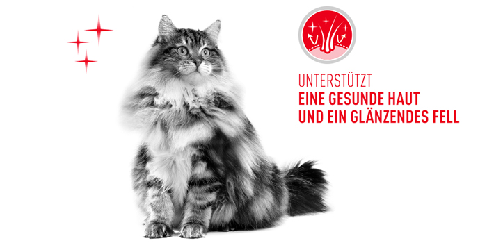 RoyalCanin_FCN_Hair-Skin_Care_Jelly_haut_und_fell.jpg