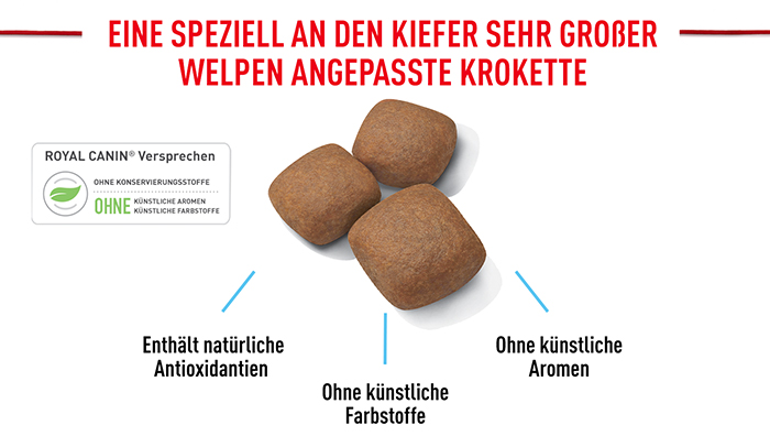 royal_canin_hund_giant_junior_angepasste_kroketten_web.jpg