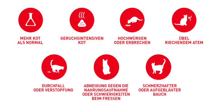 RoyalCanin_FCN_Digestive_Care_Gravy_probleme.jpg