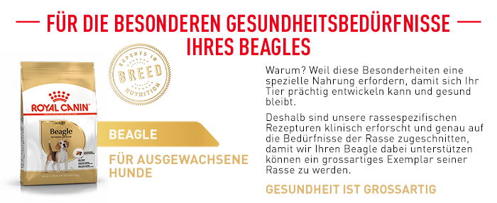 RoyalCanin_BHN_Beagle_Adult_besondere_bedurfnisse_web.png