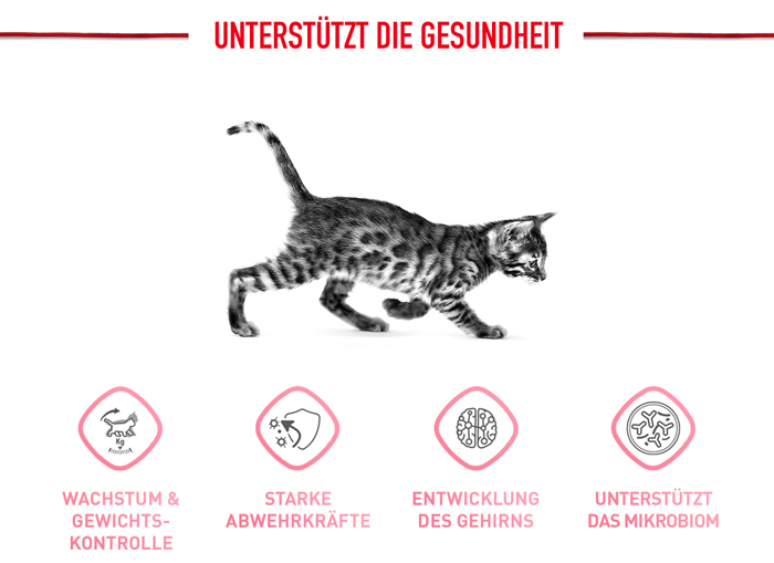 royal_canin_fhn_kitten_sterilised_unterstuetzt_die_gesundheit_web.jpg