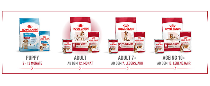 shn-medium-wet-loaf-de-module-4.jpg