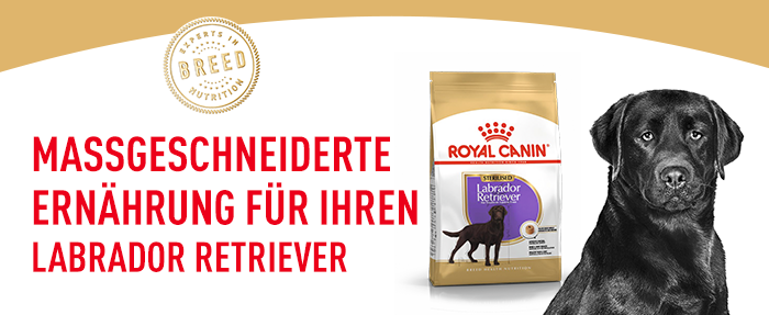 RoyalCanin_BHN_Labrador_Adult_Sterilised_massgeschneidert.png