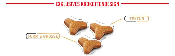 royal_canin_cat_adult_bengal_exklusives_krokettendesign_web_2.jpg